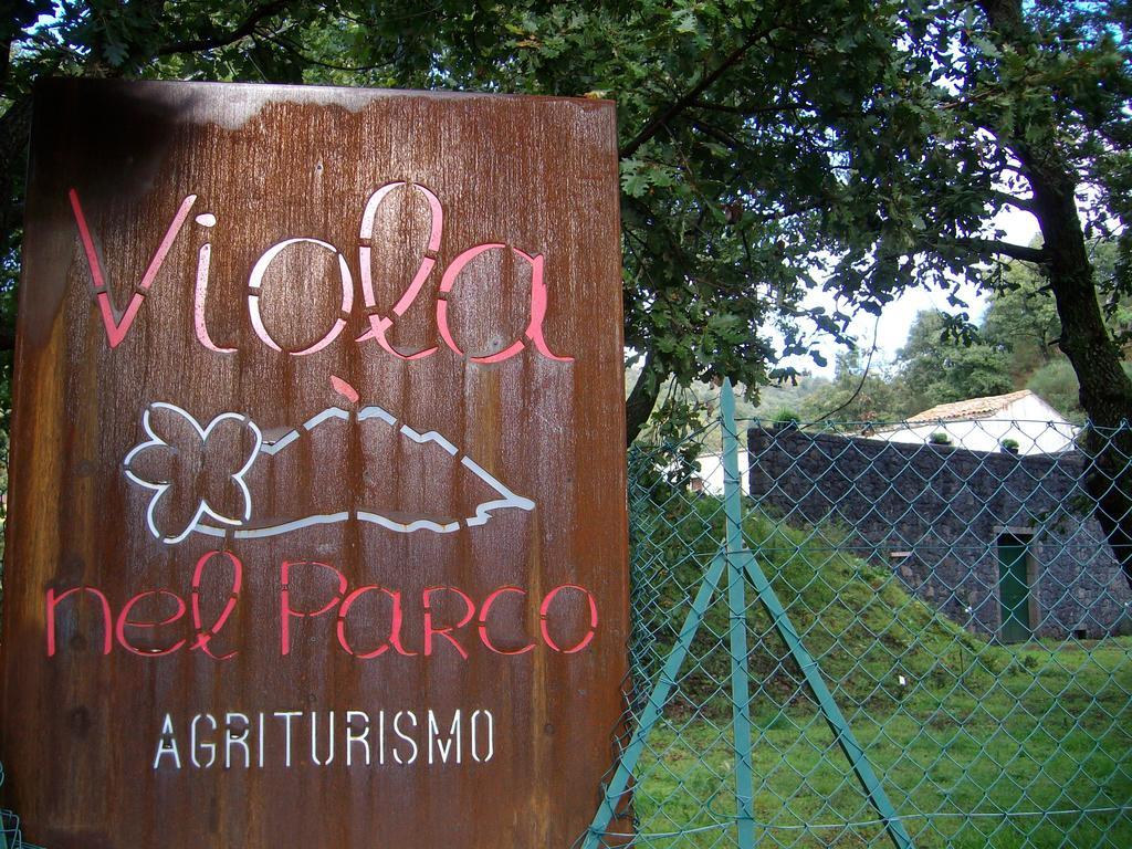 Viola Nel Parco SantʼAlfio Exterior foto