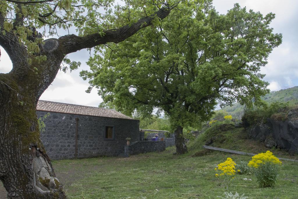 Viola Nel Parco SantʼAlfio Exterior foto